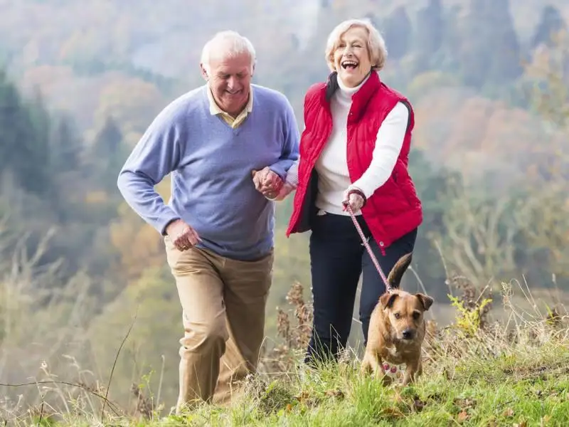 Play-with-dog-cat-walk