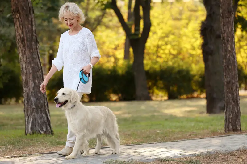 Taking-dog-for-a-walk