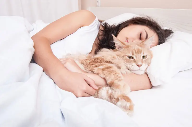 Sleep-with-cat-dog