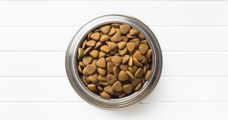 Dry-kibble-for-pets